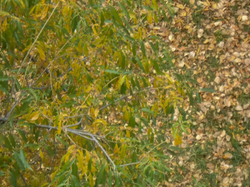 Доброе утро!