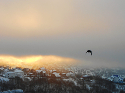 Доброе утро, Камчатка!