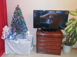 Счастливого Нового года, друзья!