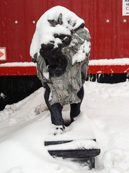 Царь зверей