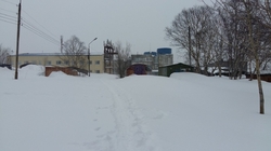 Камчатка, добрый день!