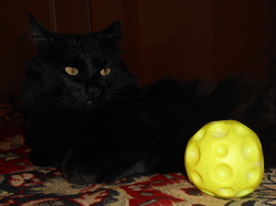 Добрый вечер, Камчатка!