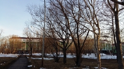 Петропавловск-Камчатский, бульвар Пийпа