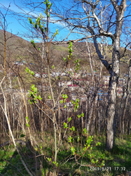 Весна в городе Петропавловске-Камчатском