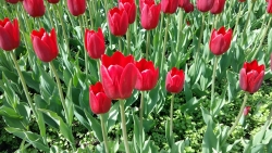 2019-06-22 21.54.33.jpg