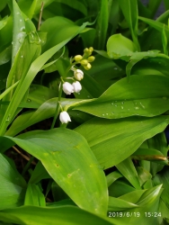 Лето на Камчатке