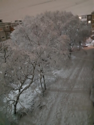 Доброй ночи!