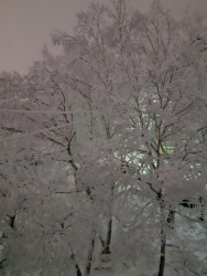 Камчатка, доброй ночи!