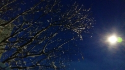 Добрый вечер, Камчатка!