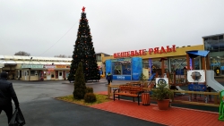 Елка в Санкт-Петербурге