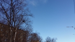 Добрый день, Камчатка!