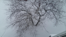 Добрый вечер, Камчатка!