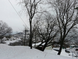 Добрый день, Камчатка!