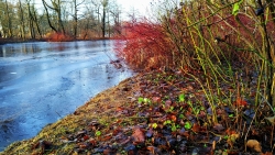Зима в Санкт-Петербурге