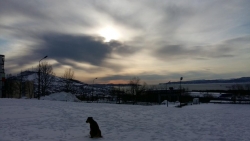 Добрый день, Камчатский край!