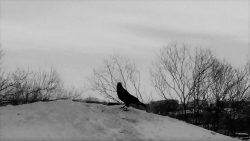 Всех с наступающим Старым Новым Годом!