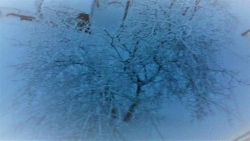 Доброе утро, полуостров Камчатка!