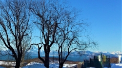 20200217_112021 (2)ДОБРЫЙ ДЕНЬ!.jpg