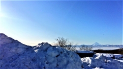 Добрый день!