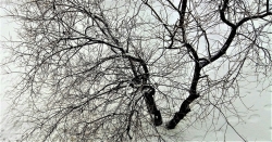 Доброе утро