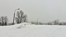 Добрый день