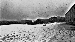 20200321_111922 2   00000.jpg