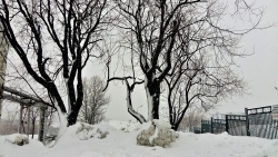 Добрый день