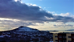 20200331_093238 утро5555.jpg