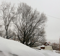 Добрый день