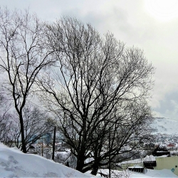 Добрый день, Камчатка