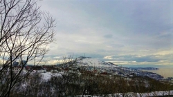 Петропавловск-Камчатский, добрый день