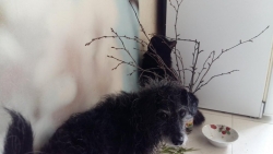 EYLd2lyXsAEyYnh пикник.jpg