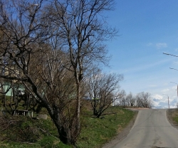 Добрый день