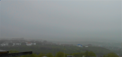 DSCN9342__туман_а.png
