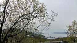 Камчатское лето