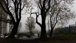 EZyUPtuWsAMrWPV (1)  ТУМАН.jpg