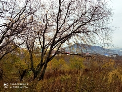 EldO4w-W0AA6-QW мишенка.осень1.jpg