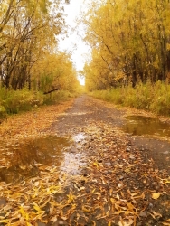 Добрый день, Камчатка!