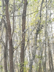 Добрый день, Камчатка!