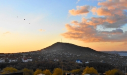 Птицы в небе