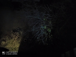 Первый снег в Петропавловске