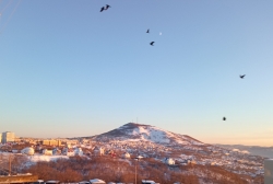 EpvFFMxWwAEaAK5 птицы форум.jpg