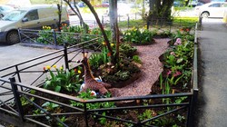 Обустройство придомового участка. Санкт-Петербург