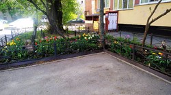 Санкт-Петербург, обустройство придомового участка